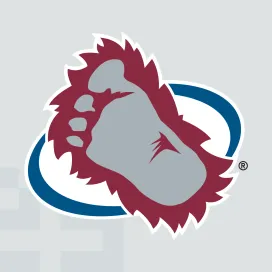 Colorado avalanche 1